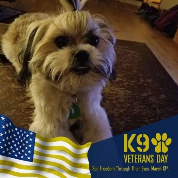 Meet your Posher, Ian - Picture 1 of 1